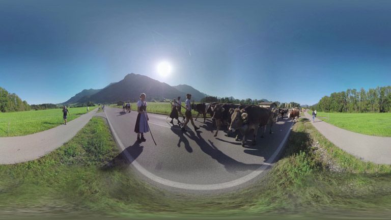 Bayern Tourismus - Almabtrieb Schöllang 360°