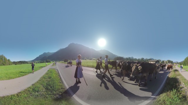Bayern Tourismus - Almabtrieb 360°